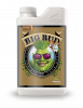Big-Bud-Coco