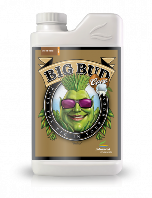 Big-Bud-Coco