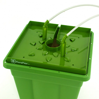 cup34_
