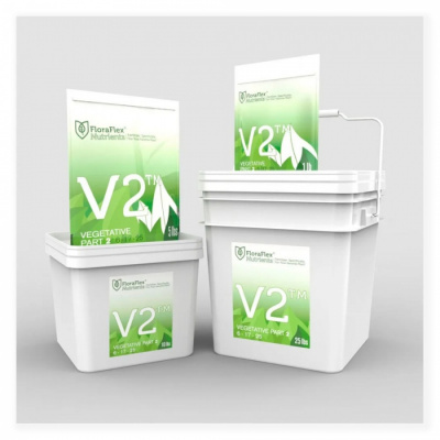 V21