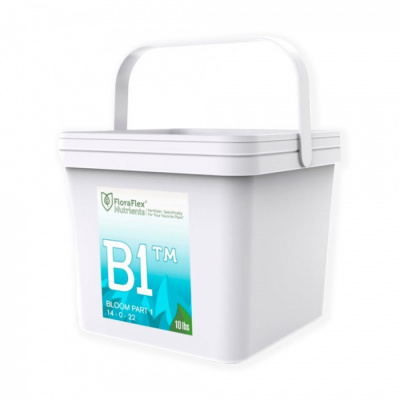 B12