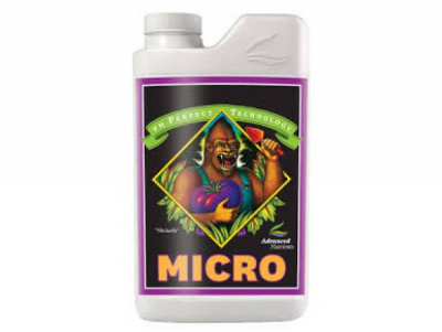 microadvanced-600x451