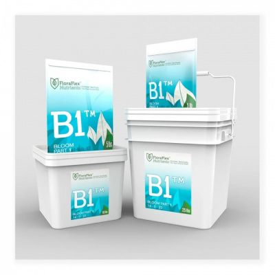B11