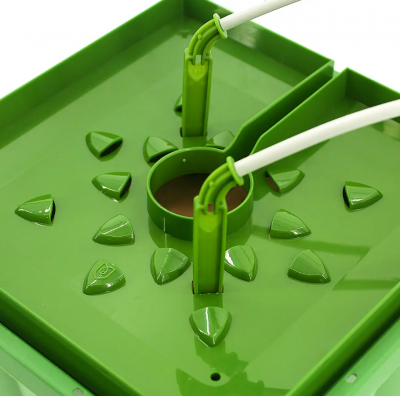 cup33_